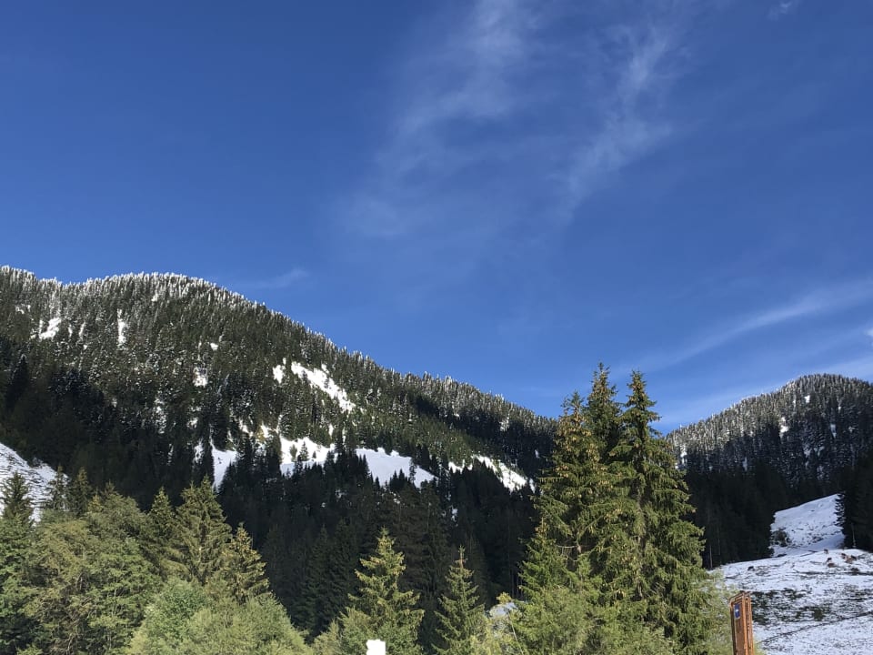 Ausblick Gasthof Schwabenhof