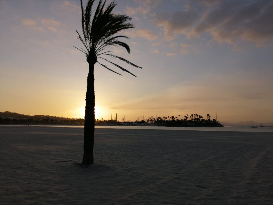 Strand Alcudia Garden Aparthotel
