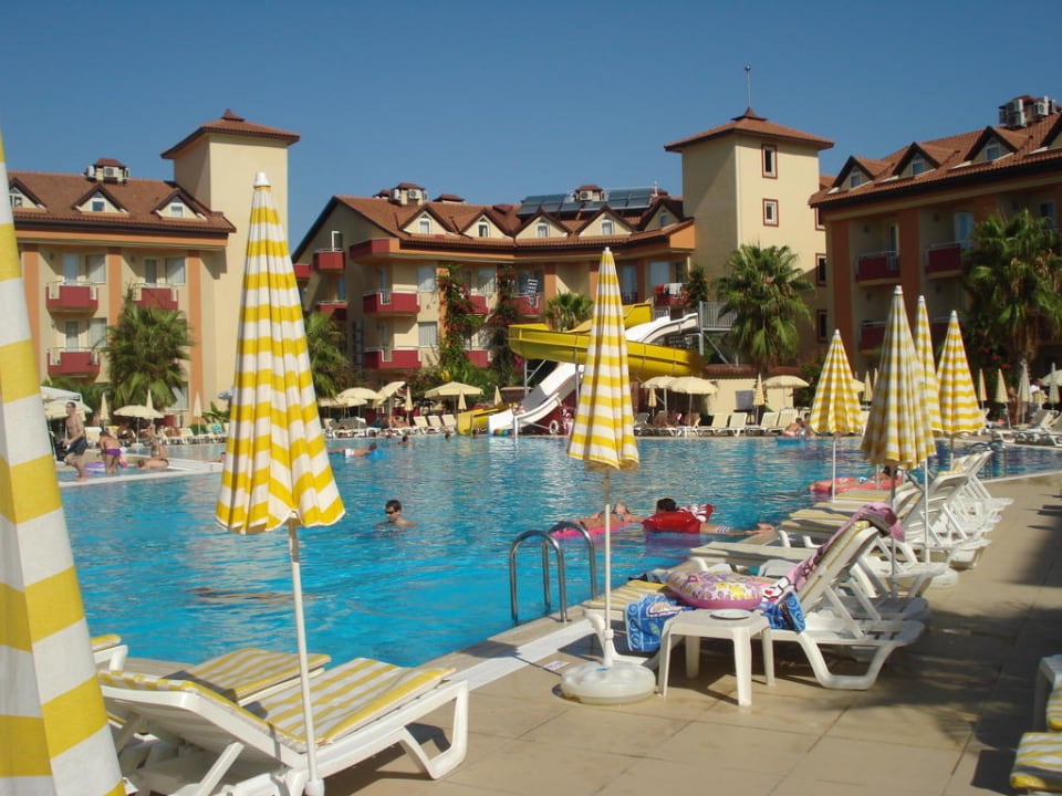 Immer genug Platz am Pool Hotel Orfeus Park