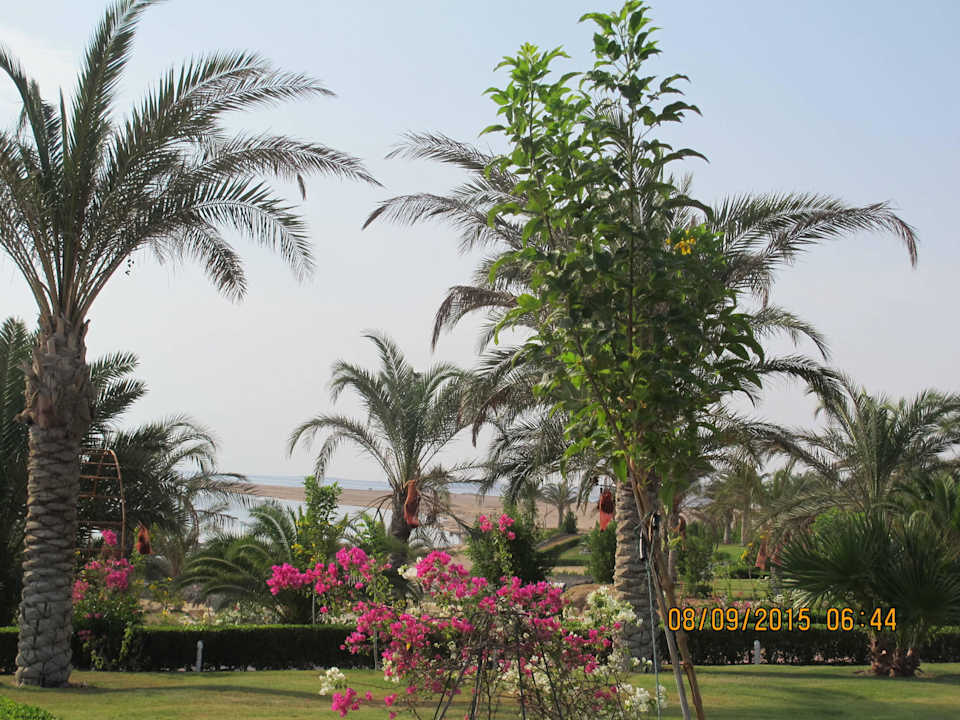 Gartenanlage mit Blick zum Meer Fantazia Resort Marsa Alam