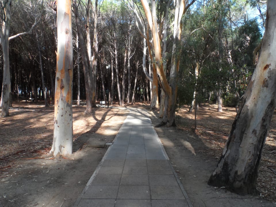 Gartenanlage TUI MAGIC LIFE Calabria