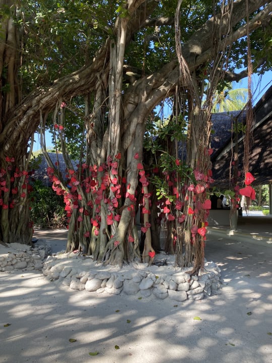Garten Adaaran Select Hudhuran Fushi - Premium All Inclusive