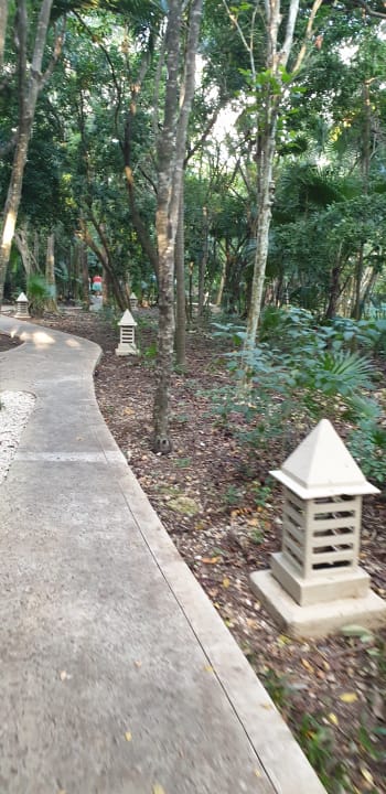 Gartenanlage Iberostar Waves Paraiso del Mar