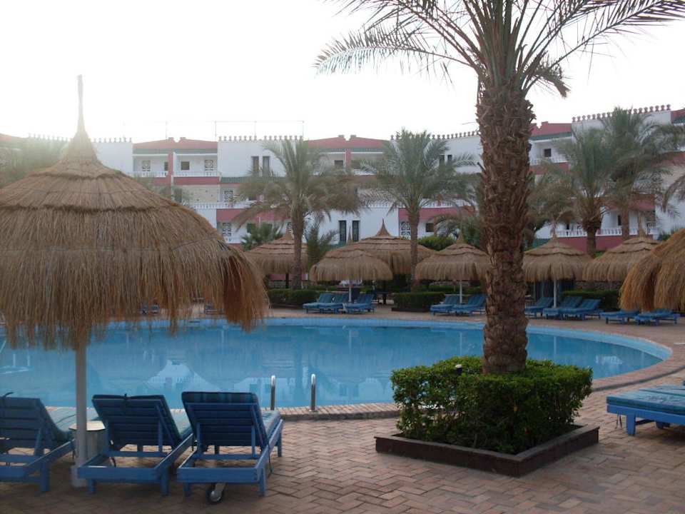 Pool mit Liegen Albatros Sharm Resort