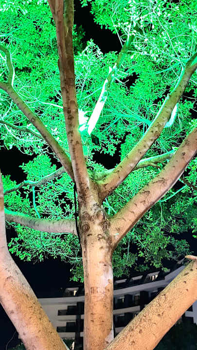 Gartenanlage Mira Meridia Beach Hotel