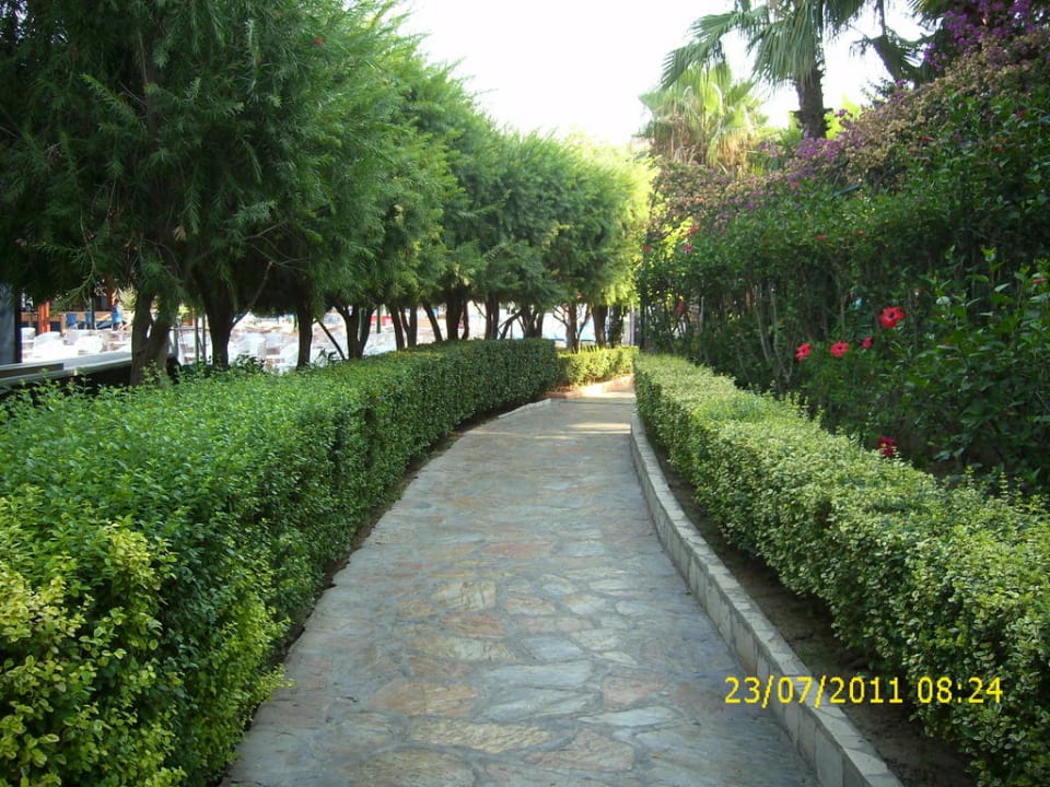 Weg zum Strand Miramare Queen Hotel