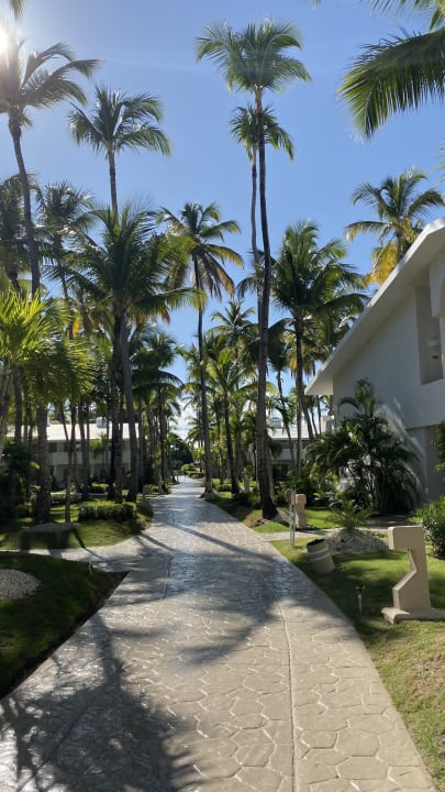Gartenanlage Meliá Punta Cana Beach Resort - A Wellness Inclusive For Adults Only