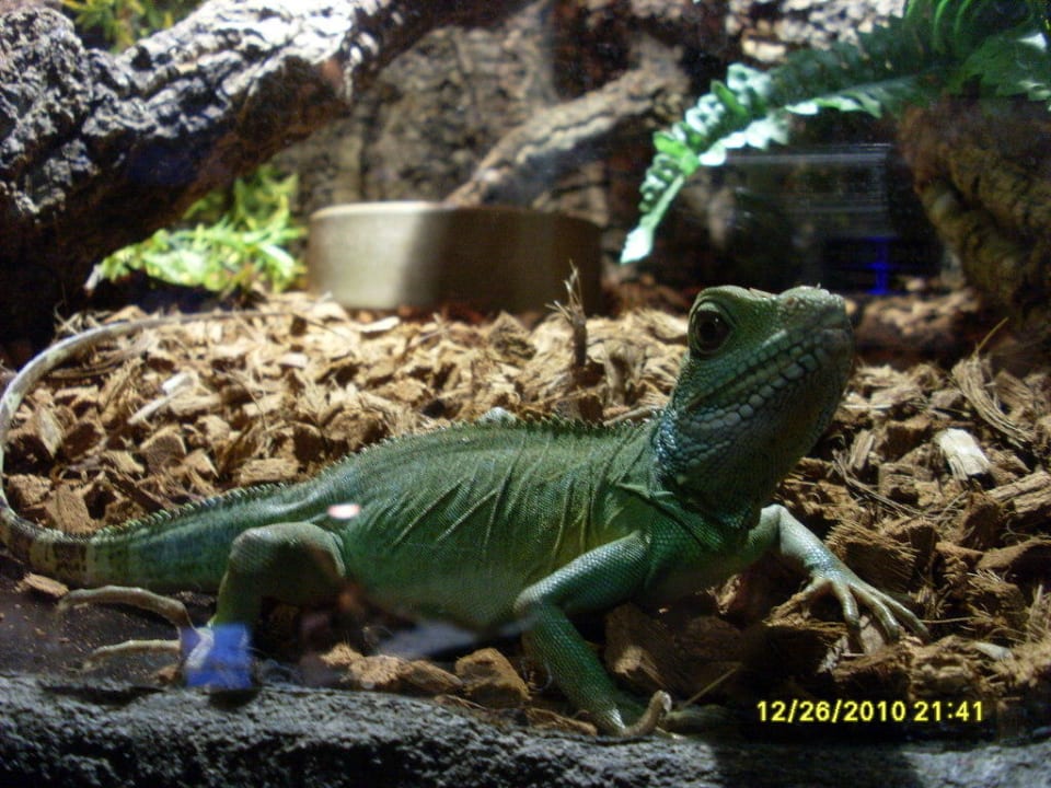 Dschungelland Ferienwohnungen Ferienpark Weissenhäuser Strand