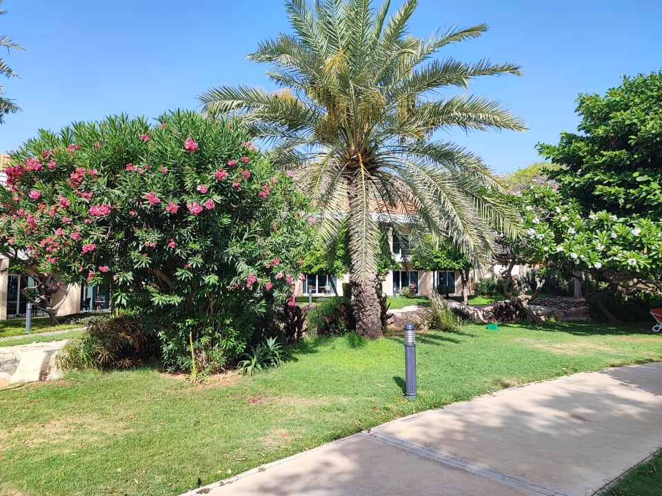 Gartenanlage Fujairah Rotana Resort & Spa