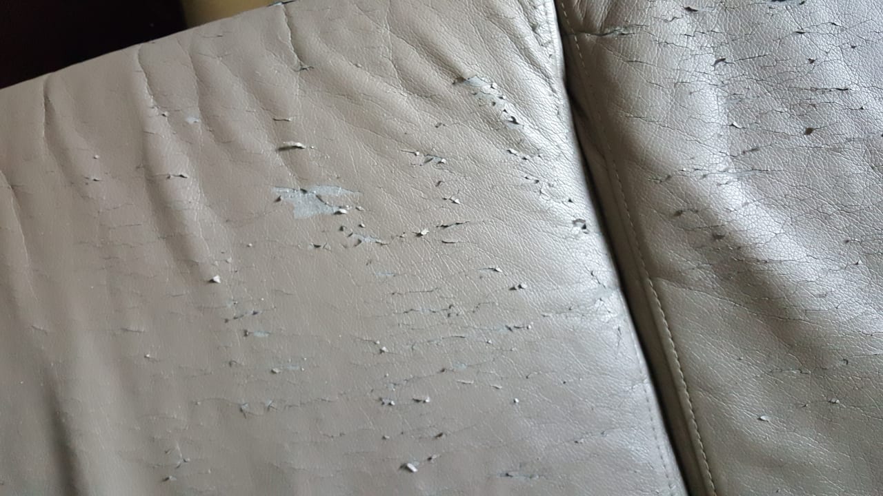 Zimmer Holiday Suites Oye-Plage