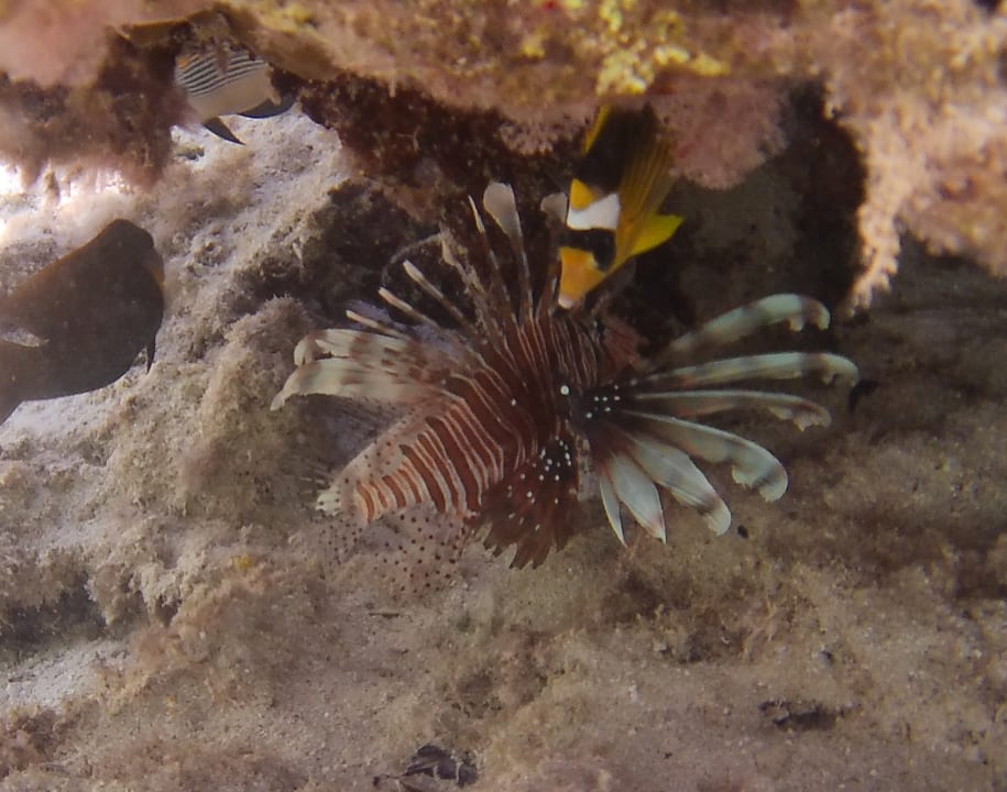 Strand Three Corners Sea Beach Resort