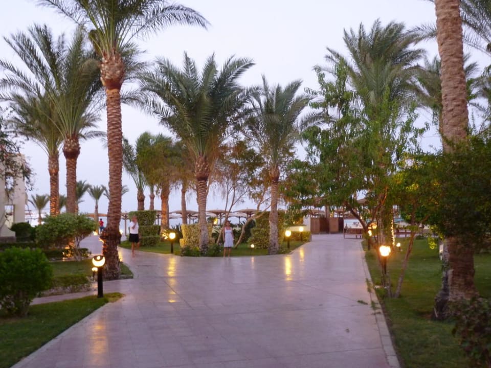 Auf dem Weg zum Meer Palm Beach Resort