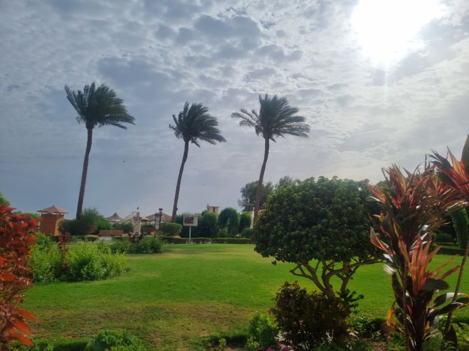 Gartenanlage Cleopatra Luxury Beach Resort Makadi Bay - Adults only