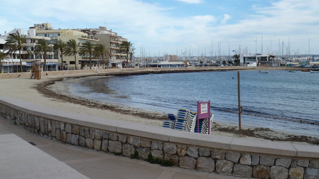 Von der Lounge Terrasse AluaSoul Palma