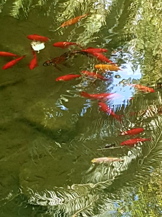 Gartenanlage Lago Garden