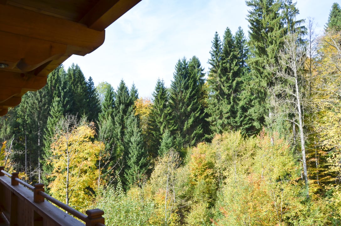 Ausblick Apart Tirol Ferienwohnungen