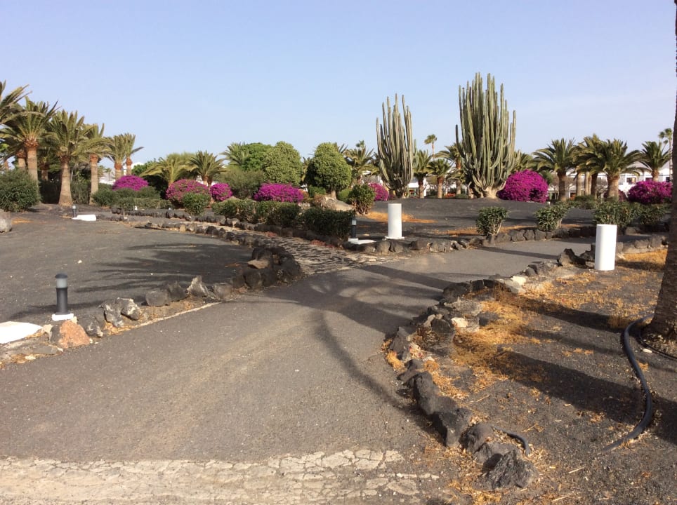 Gartenanlage Relaxia Olivina