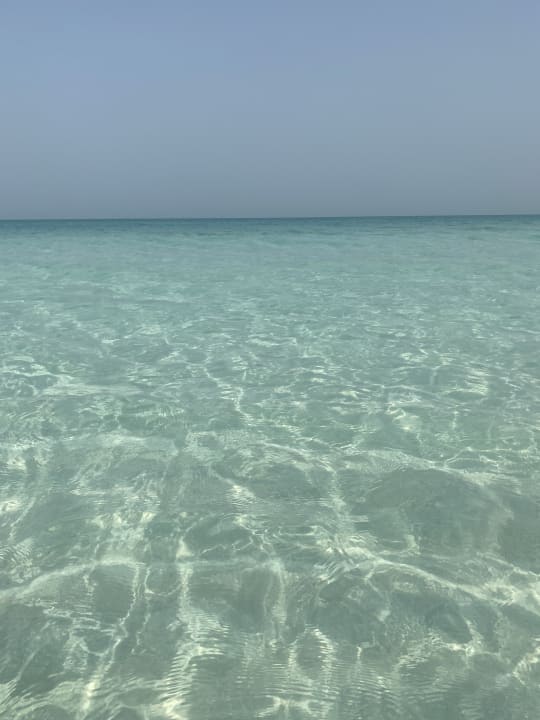 Ausblick Rixos Premium Saadiyat Island