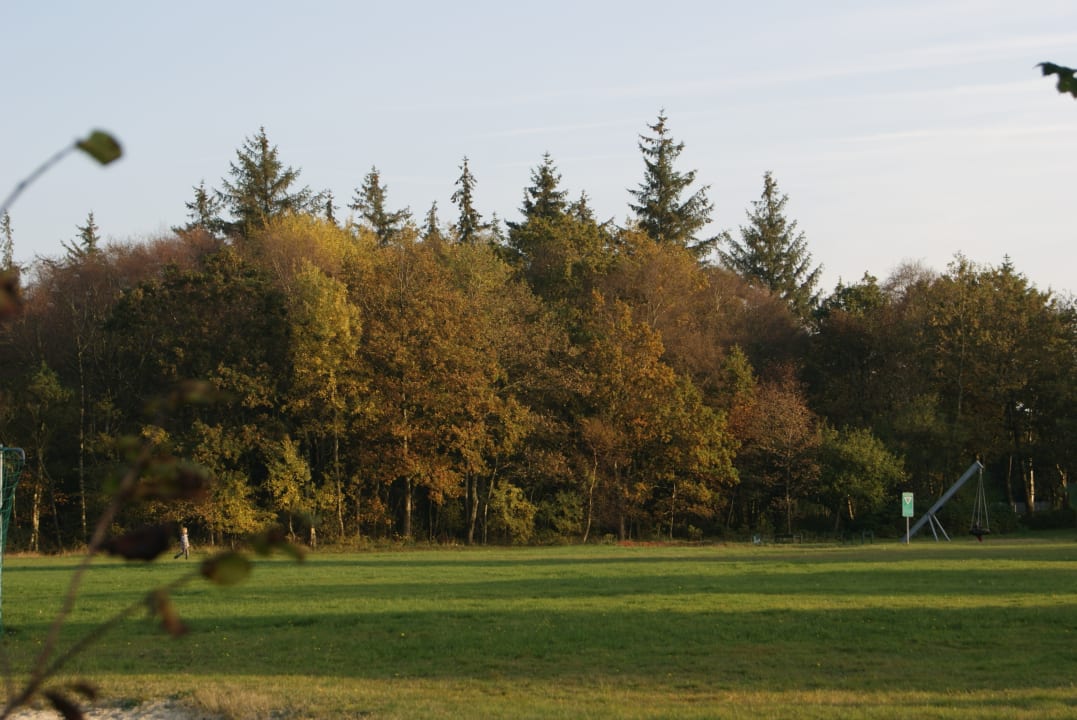 Gartenanlage Apartment Hockmannshof