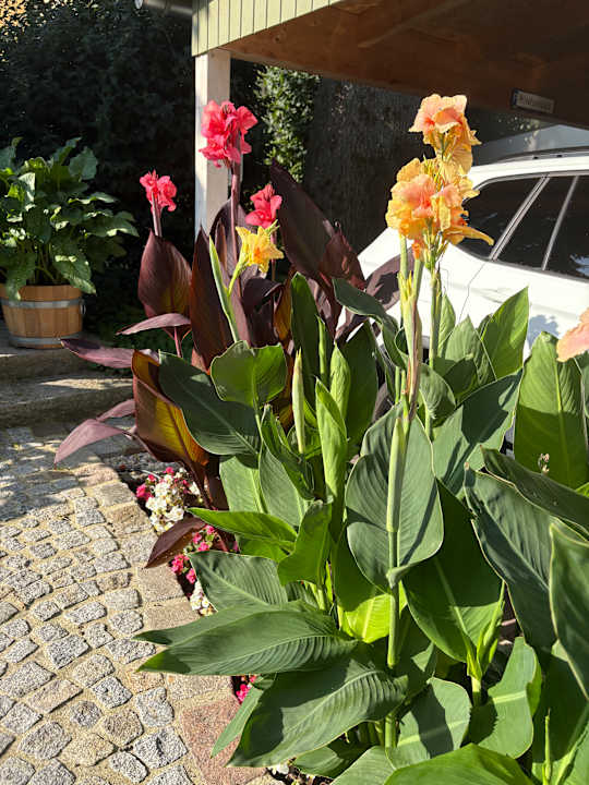 Gartenanlage Hotel garni Sonnenhof