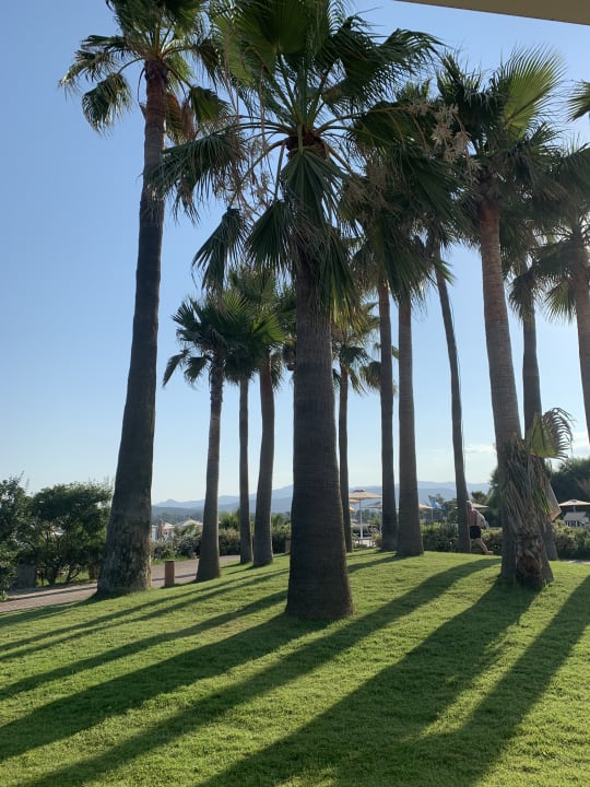 Gartenanlage Hotel Club Saraceno