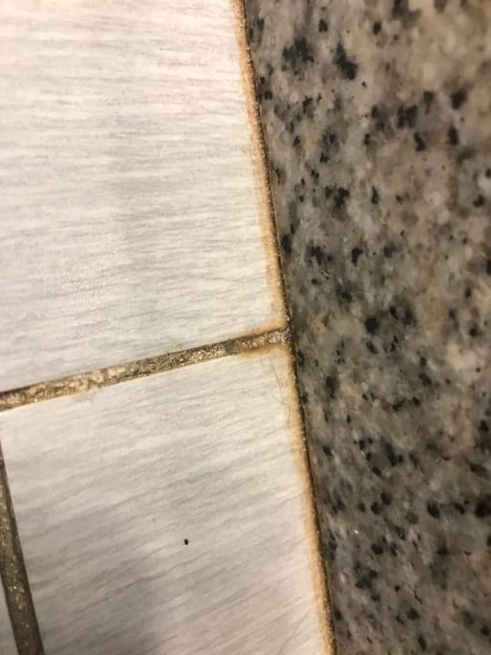 Zimmer Hotel Riu Republica - Adults only