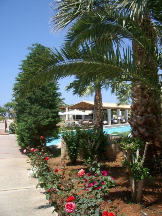 Garten Phãea Cretan Malia