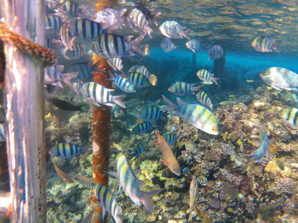 Strand Casa Mare Resort