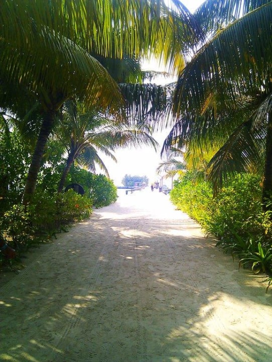 Der Weg zum Jetty Kuredu Island Resort & Spa