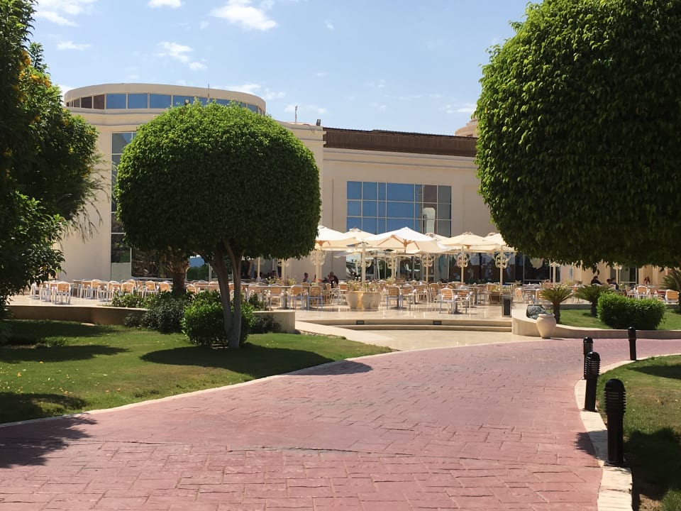 Ausblick Serenity Alpha Beach