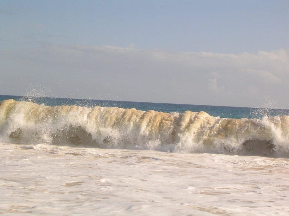 Help ! I am a perfect non swimmer Hotel Riu Touareg