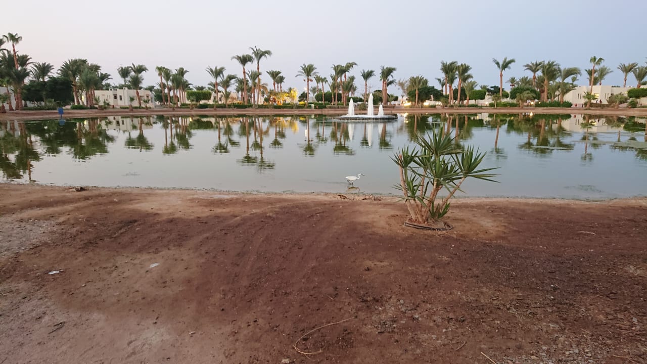 Gartenanlage Pharaoh Azur Resort