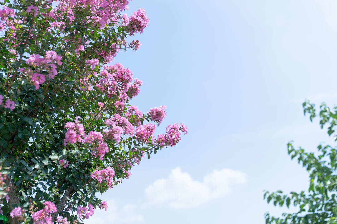 Ausblick Agriturismo & AgriCamping Le Nosare