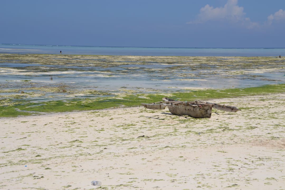 Strand Royal Zanzibar Beach Resort