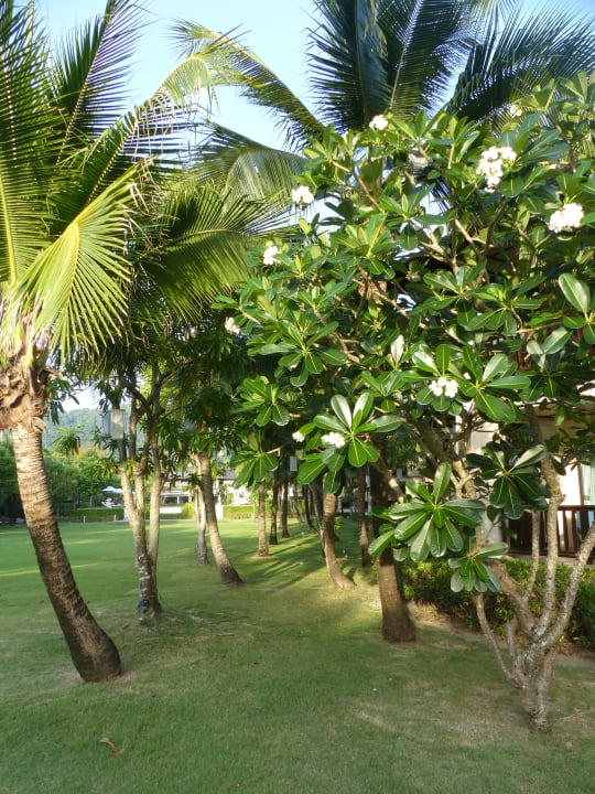 Hotelanlage Dusit Thani Krabi Beach Resort