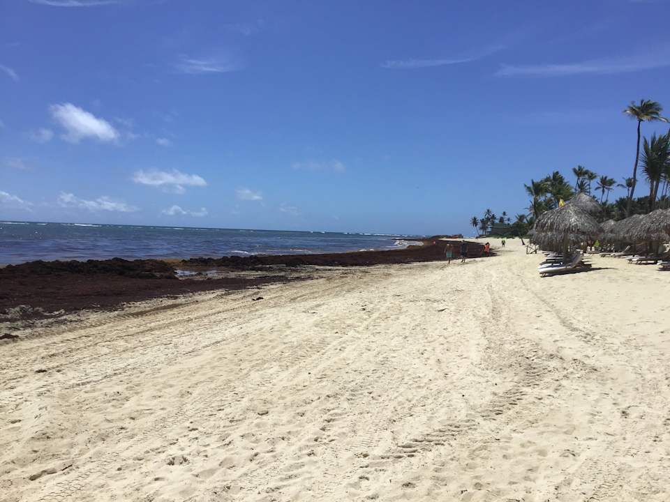 Strand JOIA Bávaro by Iberostar