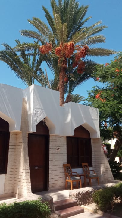 Gartenanlage Regina Resort and Aqua Park Hurghada