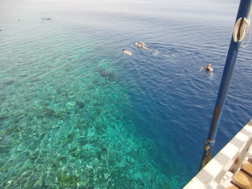 Schnorcheln am Riff Radisson Blu Resort, El Quseir
