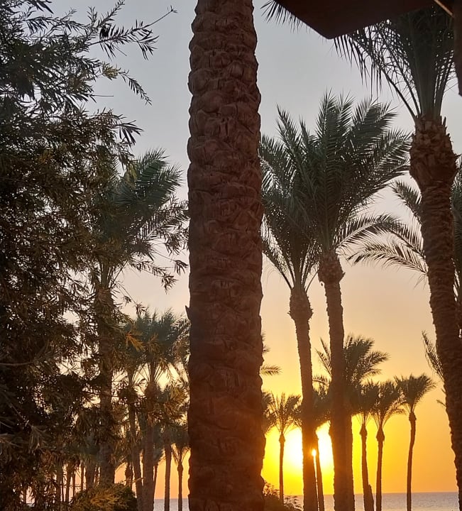 Strand Makadi Spa - Adults only