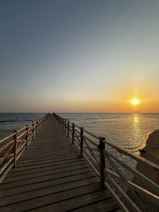 Strand Steigenberger Resort Alaya Marsa Alam - Red Sea - Adults only