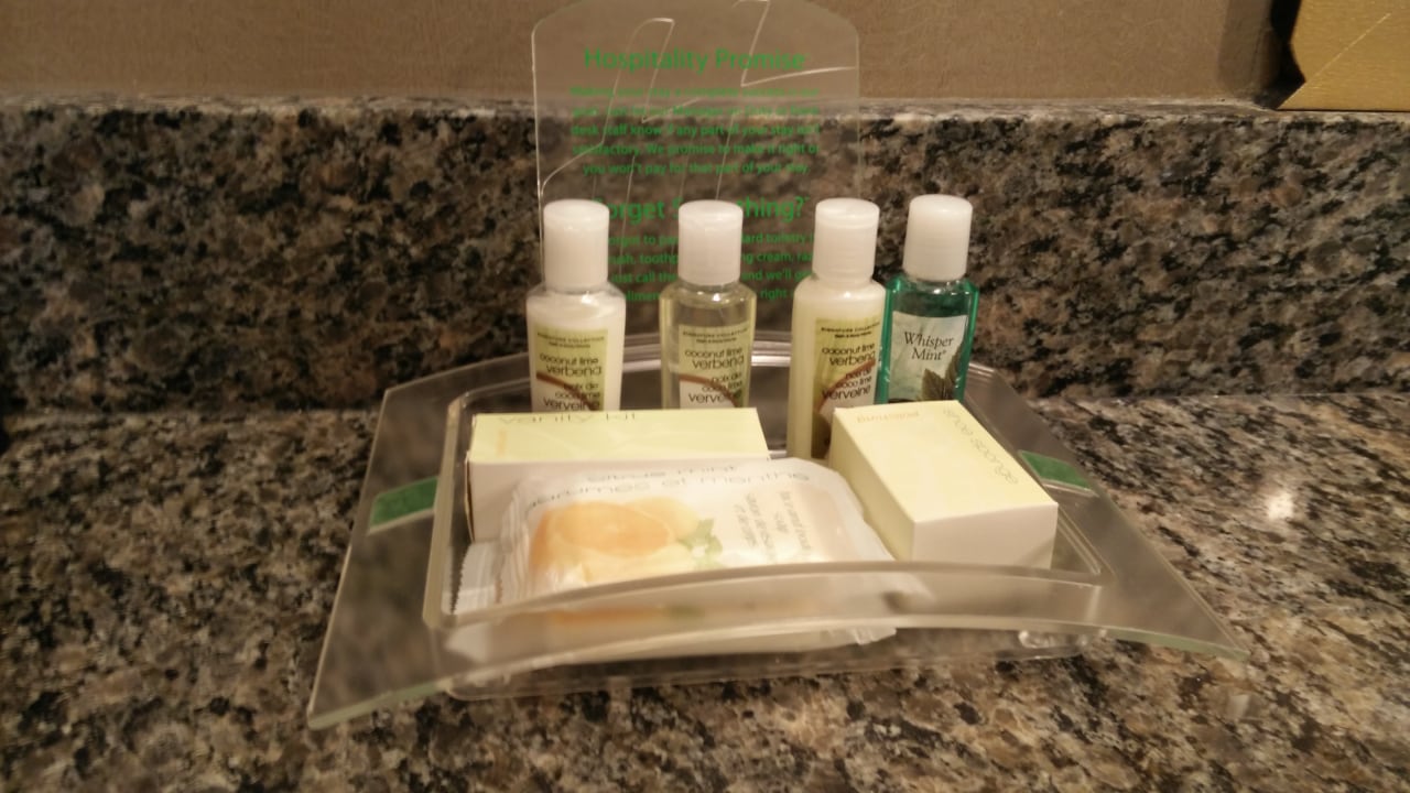 Zimmer Holiday Inn Toronto Downtown Centre