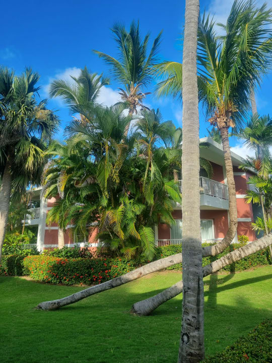 Außenansicht Grand Palladium Select Bávaro Resort & Spa