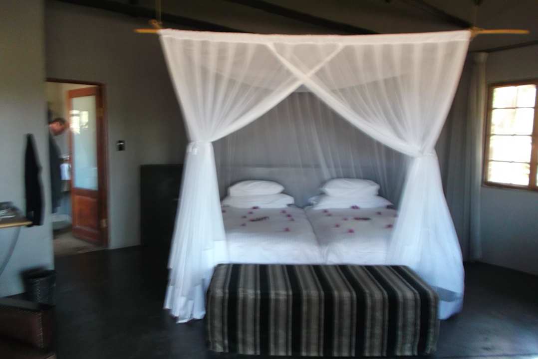 Unser Zimmer "ROAN" Motswari Private Game Reserve & Geiger's Camp
