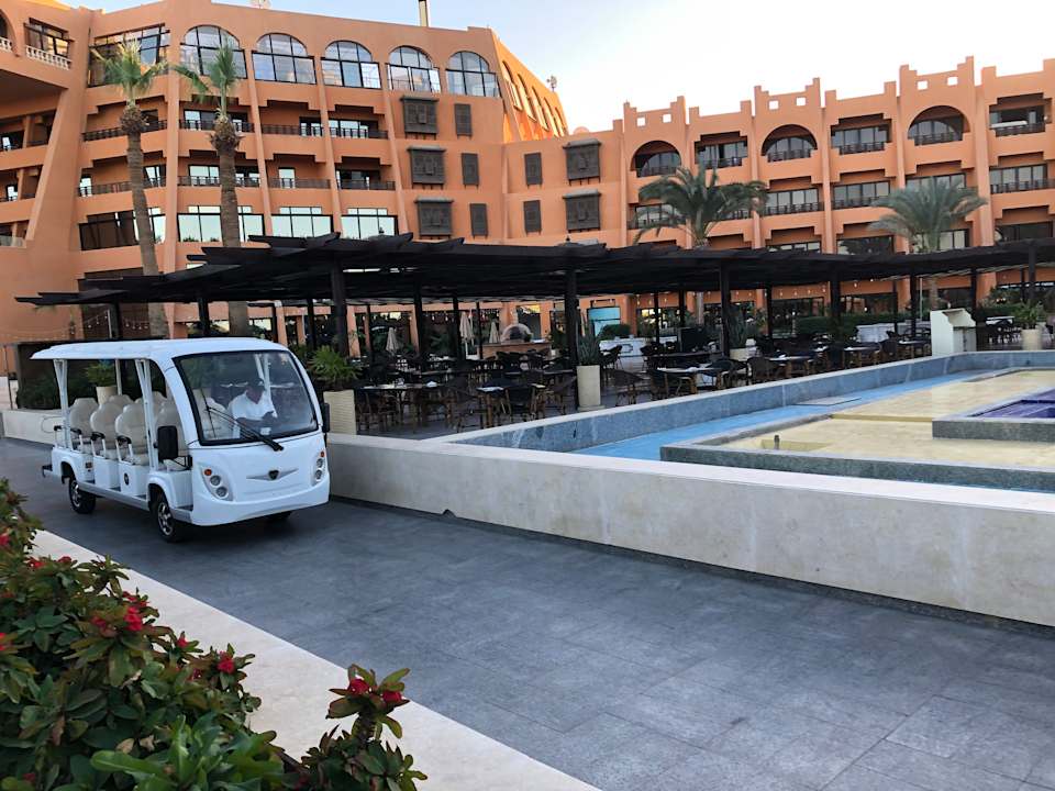 Sonstiges Calimera Blend Paradise