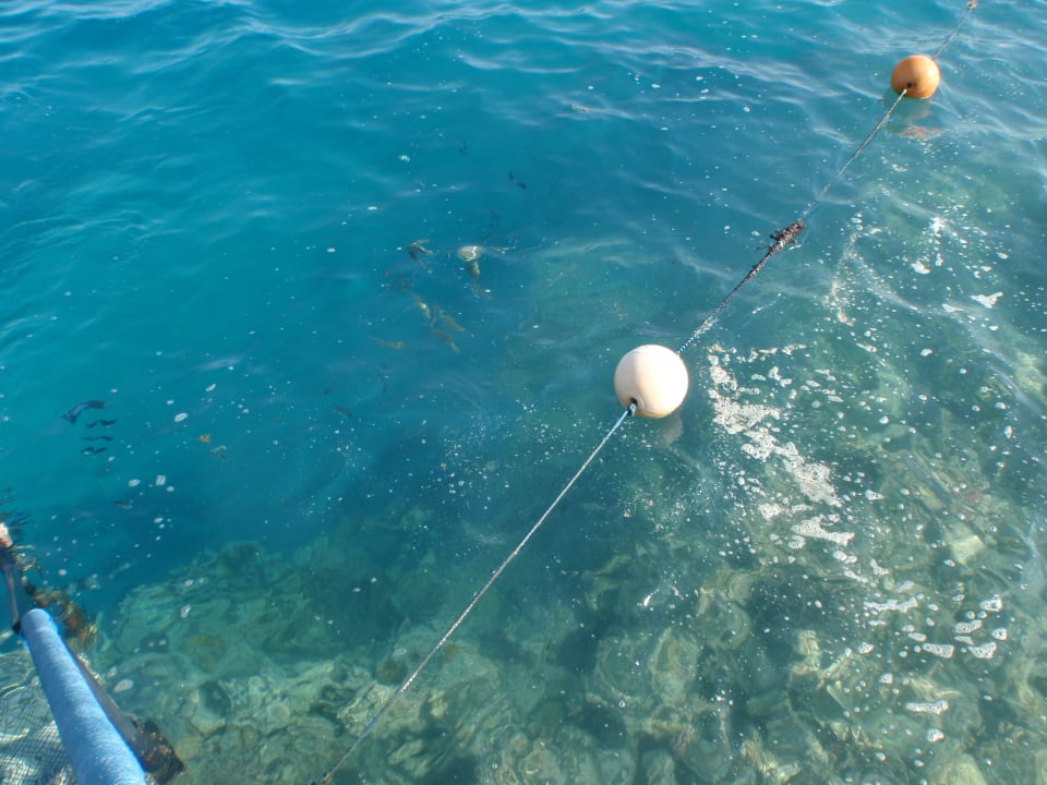 Meer Stella Garden Resort & Spa, Makadi Bay