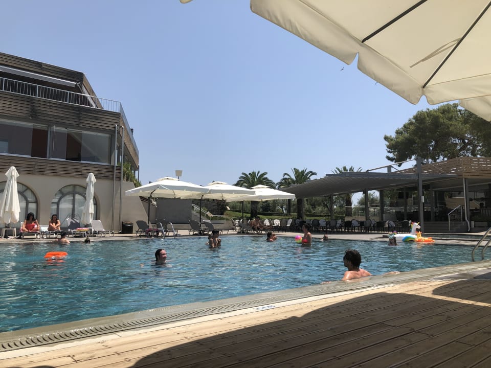 Pool Blue Dolphin Resort Hotel