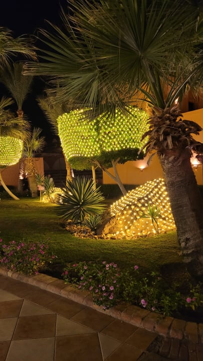 Gartenanlage Jaz Makadi Oasis Resort