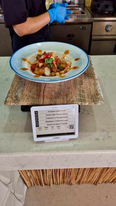 Gastro Seashell Vega