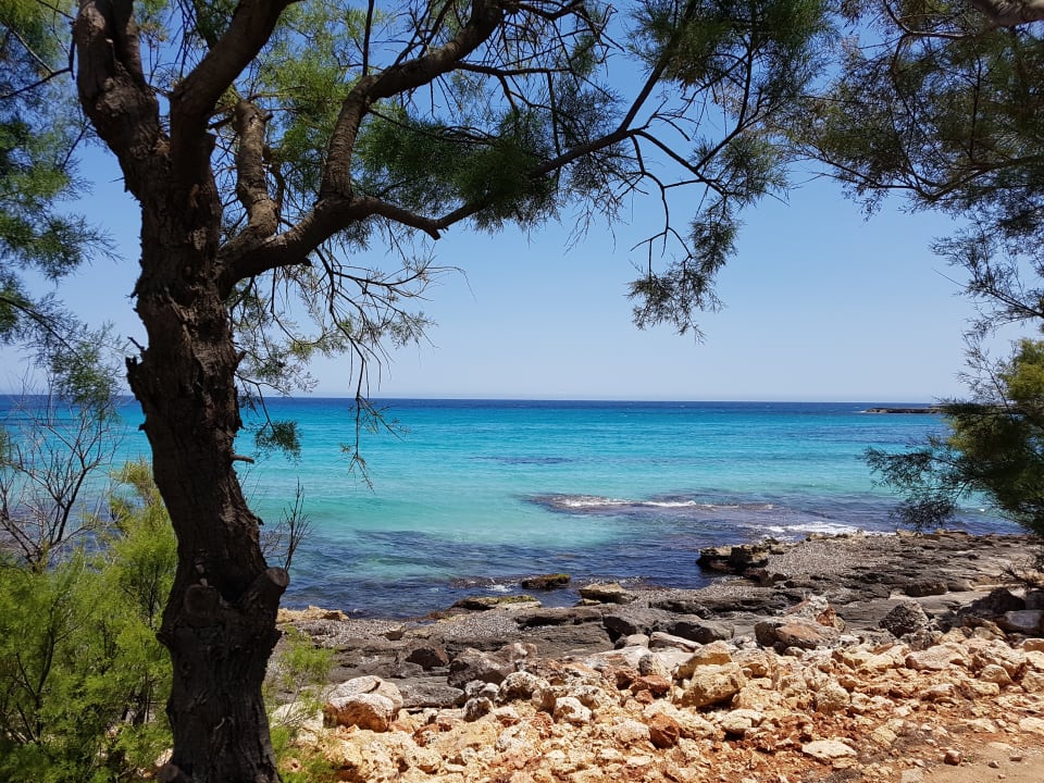 Strand Hotel Palia Sa Coma Playa