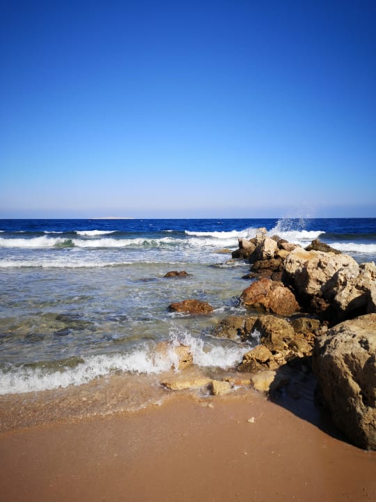 Strand Pickalbatros Citadel Resort